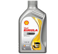 Shell Rimula